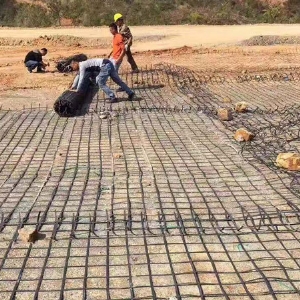 鋼塑土工格柵